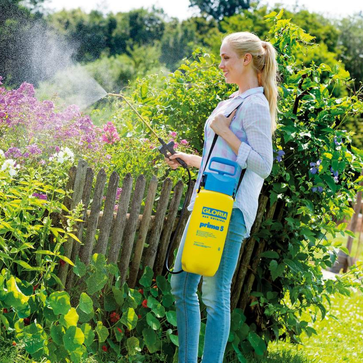 Gloria Prima 5 (000080.0000)